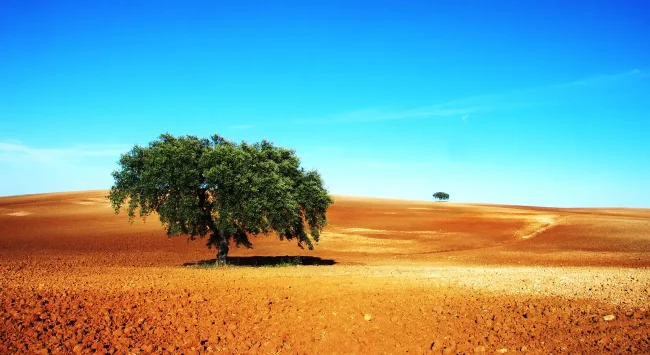 Rodoviária do Alentejo